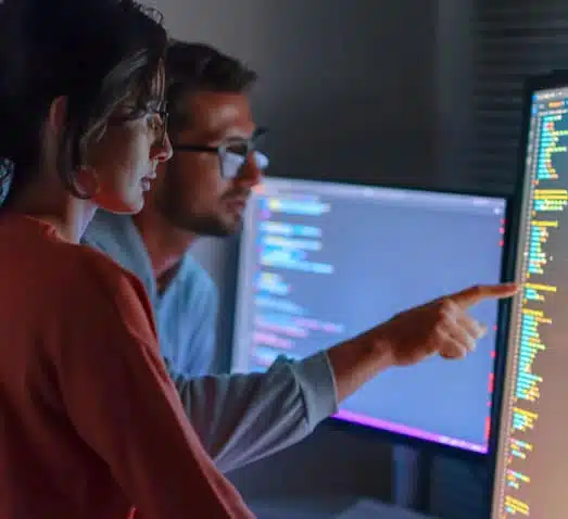 Professional Services Search Visibility Engineering - Visibility North